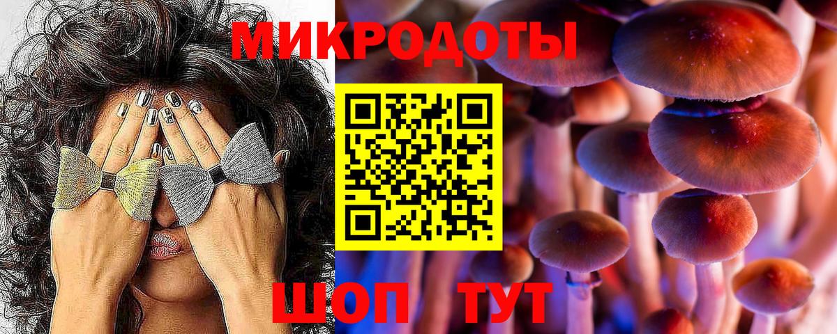 Курчалой  Галлюциногенные грибы Cubensis  Вход с VPN  Псилоцибиновые грибы MAGIC MUSHROOMS 