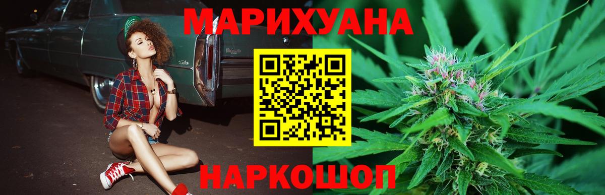 Курчалой  Каннабис Bruce Banner  Вход с VPN  Шишки марихуана тримм  Конопля индика 